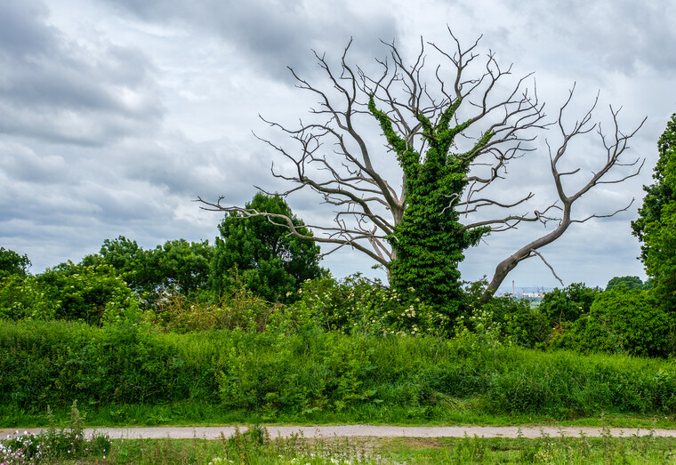 UK May '22 - Arrival (London) 006.jpg